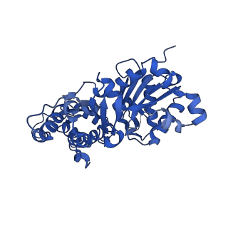 24400_7rb9_B_v1-1
Cryo-EM structure of the rigor state Jordan myosin-15-F-actin complex