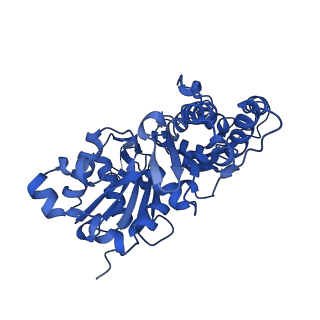 24400_7rb9_C_v1-1
Cryo-EM structure of the rigor state Jordan myosin-15-F-actin complex
