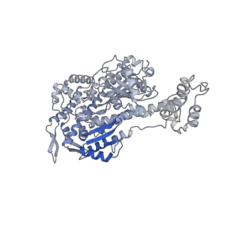 24400_7rb9_D_v1-1
Cryo-EM structure of the rigor state Jordan myosin-15-F-actin complex