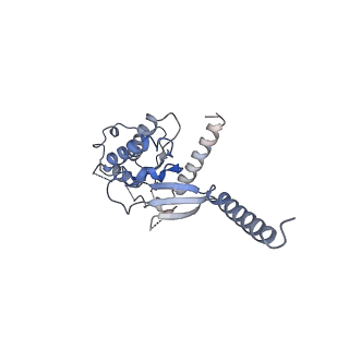 24401_7rbt_A_v1-0
cryo-EM structure of human Gastric inhibitory polypeptide receptor GIPR bound to tirzepatide