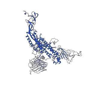 24403_7rbv_B_v1-1
SARS-CoV-2 Spike in complex with PVI.V6-14 Fab