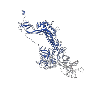 24403_7rbv_C_v1-1
SARS-CoV-2 Spike in complex with PVI.V6-14 Fab
