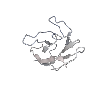 24403_7rbv_L_v1-1
SARS-CoV-2 Spike in complex with PVI.V6-14 Fab