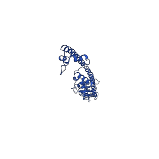 4798_6rbg_B_v1-2
full-length bacterial polysaccharide co-polymerase