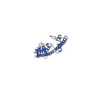 4798_6rbg_D_v1-2
full-length bacterial polysaccharide co-polymerase