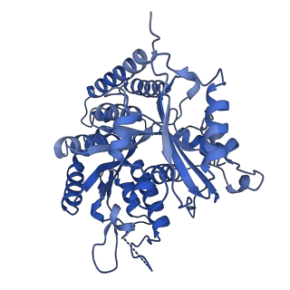 19042_8rc1_A_v1-0
MAP7 MTBD (microtubule binding domain) decorated microtubule protofilament