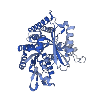 19042_8rc1_B_v1-0
MAP7 MTBD (microtubule binding domain) decorated microtubule protofilament