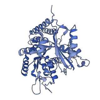 19042_8rc1_C_v1-0
MAP7 MTBD (microtubule binding domain) decorated microtubule protofilament