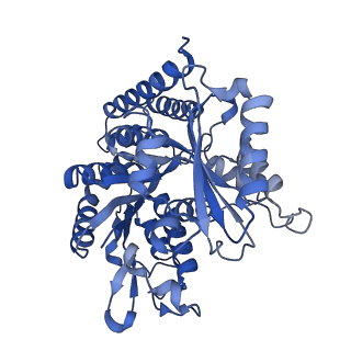 19042_8rc1_D_v1-0
MAP7 MTBD (microtubule binding domain) decorated microtubule protofilament