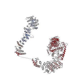 19047_8rc4_a_v1-0
Structure of Integrator-PP2A complex