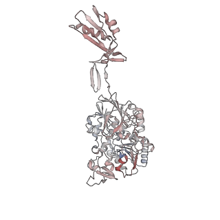 19047_8rc4_i_v1-0
Structure of Integrator-PP2A complex