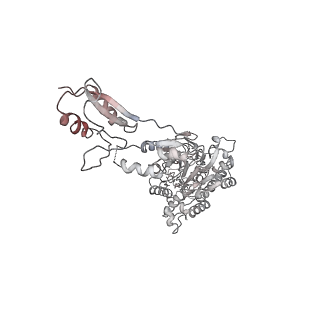 19047_8rc4_k_v1-0
Structure of Integrator-PP2A complex