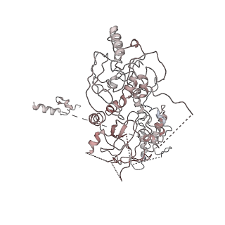 19047_8rc4_m_v1-0
Structure of Integrator-PP2A complex