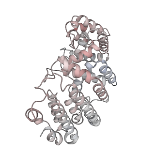 19047_8rc4_o_v1-0
Structure of Integrator-PP2A complex