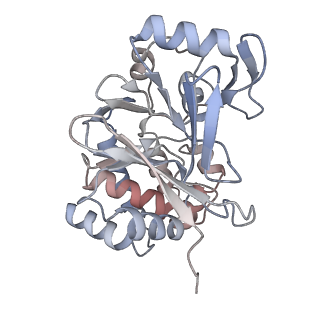 19047_8rc4_q_v1-0
Structure of Integrator-PP2A complex