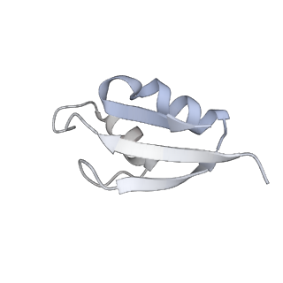 19054_8rcl_32_v1-0
Escherichia coli paused disome complex (Non-rotated disome interface class 1)