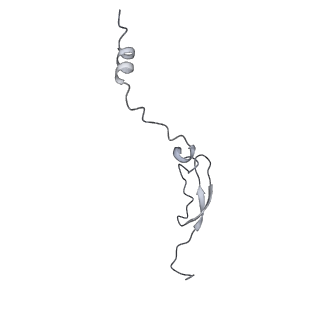 19054_8rcl_4_v1-0
Escherichia coli paused disome complex (Non-rotated disome interface class 1)