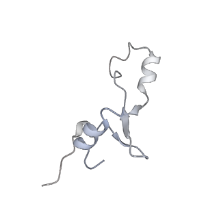 19054_8rcl_62_v1-0
Escherichia coli paused disome complex (Non-rotated disome interface class 1)