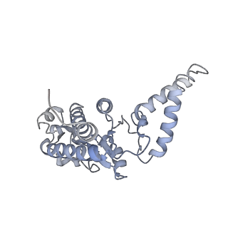 19054_8rcl_B_v1-0
Escherichia coli paused disome complex (Non-rotated disome interface class 1)