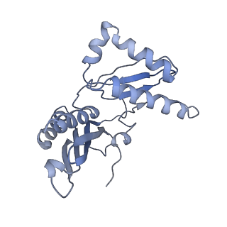 19054_8rcl_C2_v1-0
Escherichia coli paused disome complex (Non-rotated disome interface class 1)