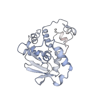 19054_8rcl_D1_v1-0
Escherichia coli paused disome complex (Non-rotated disome interface class 1)