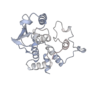 19054_8rcl_D2_v1-0
Escherichia coli paused disome complex (Non-rotated disome interface class 1)