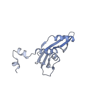 19054_8rcl_E1_v1-0
Escherichia coli paused disome complex (Non-rotated disome interface class 1)