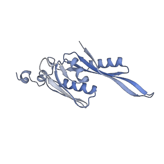 19054_8rcl_E2_v1-0
Escherichia coli paused disome complex (Non-rotated disome interface class 1)