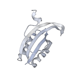 19054_8rcl_F1_v1-0
Escherichia coli paused disome complex (Non-rotated disome interface class 1)