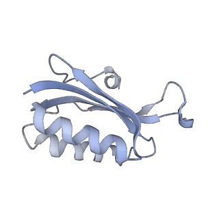 19054_8rcl_F2_v1-0
Escherichia coli paused disome complex (Non-rotated disome interface class 1)