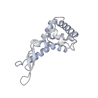 19054_8rcl_G1_v1-0
Escherichia coli paused disome complex (Non-rotated disome interface class 1)