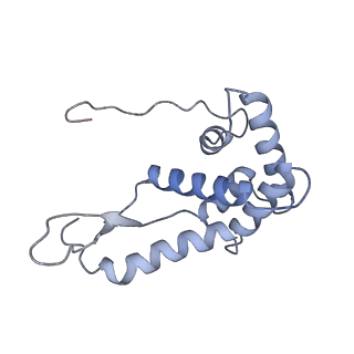 19054_8rcl_G2_v1-0
Escherichia coli paused disome complex (Non-rotated disome interface class 1)