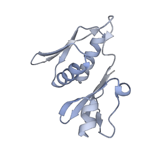 19054_8rcl_H1_v1-0
Escherichia coli paused disome complex (Non-rotated disome interface class 1)