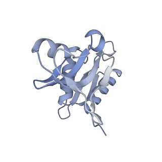 19054_8rcl_H2_v1-0
Escherichia coli paused disome complex (Non-rotated disome interface class 1)