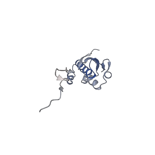 19054_8rcl_I2_v1-0
Escherichia coli paused disome complex (Non-rotated disome interface class 1)