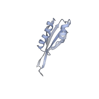 19054_8rcl_J1_v1-0
Escherichia coli paused disome complex (Non-rotated disome interface class 1)