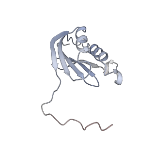 19054_8rcl_K1_v1-0
Escherichia coli paused disome complex (Non-rotated disome interface class 1)