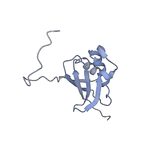 19054_8rcl_K2_v1-0
Escherichia coli paused disome complex (Non-rotated disome interface class 1)