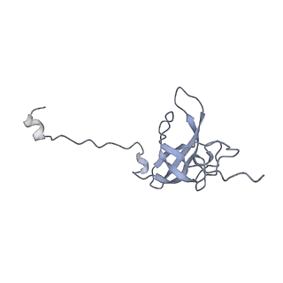 19054_8rcl_L1_v1-0
Escherichia coli paused disome complex (Non-rotated disome interface class 1)