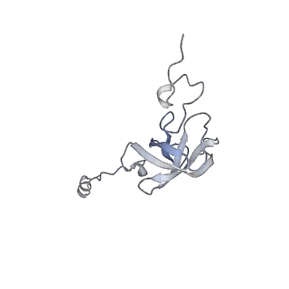 19054_8rcl_L2_v1-0
Escherichia coli paused disome complex (Non-rotated disome interface class 1)