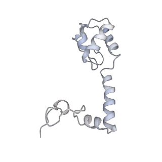 19054_8rcl_M1_v1-0
Escherichia coli paused disome complex (Non-rotated disome interface class 1)