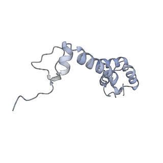 19054_8rcl_M2_v1-0
Escherichia coli paused disome complex (Non-rotated disome interface class 1)