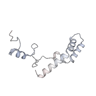 19054_8rcl_N1_v1-0
Escherichia coli paused disome complex (Non-rotated disome interface class 1)