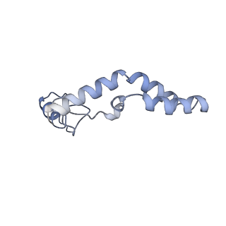 19054_8rcl_N2_v1-0
Escherichia coli paused disome complex (Non-rotated disome interface class 1)