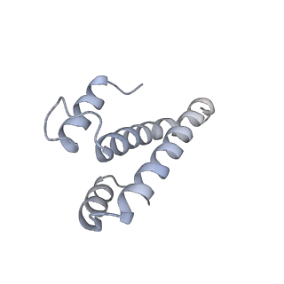 19054_8rcl_O1_v1-0
Escherichia coli paused disome complex (Non-rotated disome interface class 1)