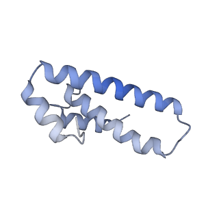 19054_8rcl_O2_v1-0
Escherichia coli paused disome complex (Non-rotated disome interface class 1)