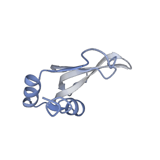 19054_8rcl_P1_v1-0
Escherichia coli paused disome complex (Non-rotated disome interface class 1)