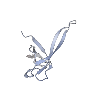 19054_8rcl_Q2_v1-0
Escherichia coli paused disome complex (Non-rotated disome interface class 1)