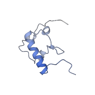 19054_8rcl_R2_v1-0
Escherichia coli paused disome complex (Non-rotated disome interface class 1)