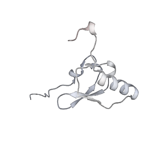 19054_8rcl_S1_v1-0
Escherichia coli paused disome complex (Non-rotated disome interface class 1)